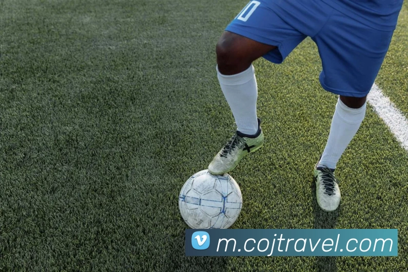 广东媒体人批评五年巨额投入成效不佳朱芳雨与杜锋需承担责任